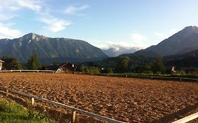 Reitbauernhof Schartner